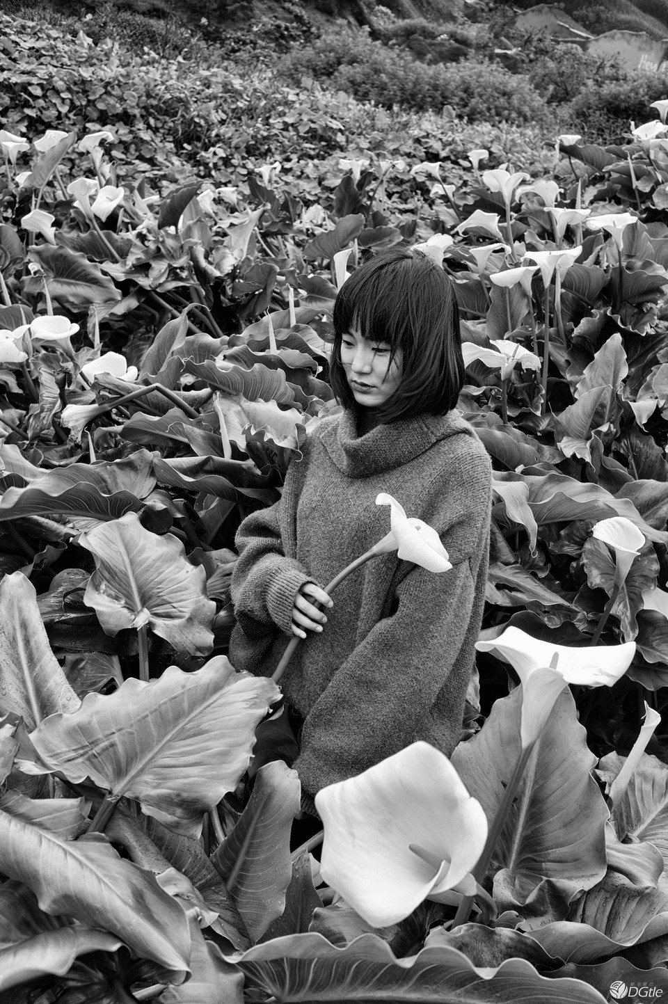 黑白即大海,LEICA M MONOCHROM 个人体验 - 第14张 | CALONYE.COM 黑白即大海,LEICA M MONOCHROM 个人体验 - 第14张 | CALONYE.COM