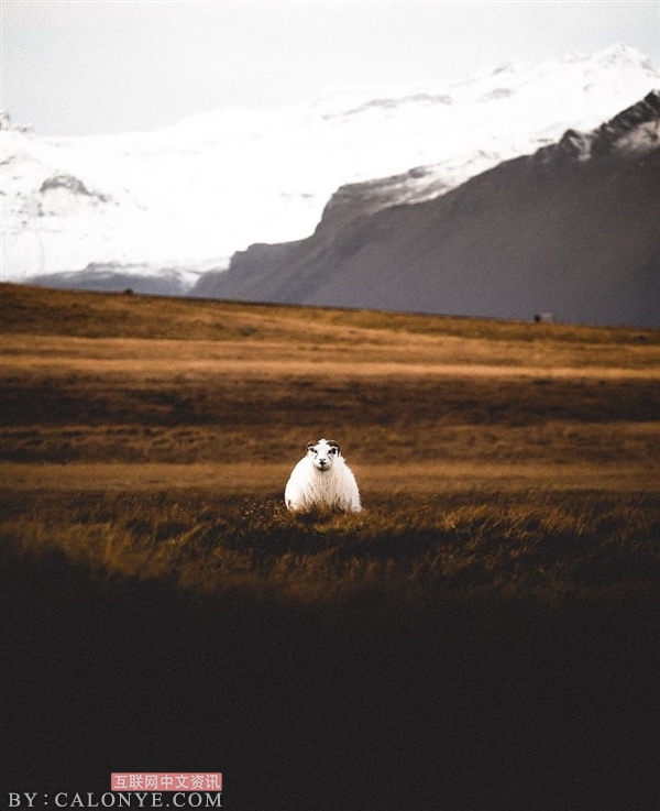 [多图]绝美冰岛照片 美的“不真实” - 第37张  | CALONYE.COM